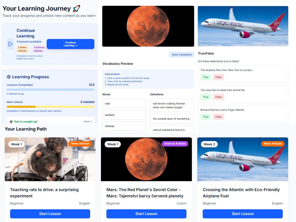 Interactive Platform Preview